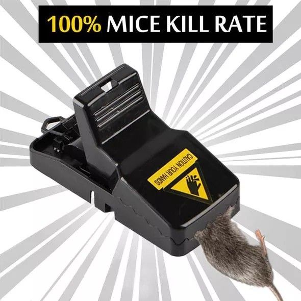 Heavy-Duty High-Efficiency Snap Mouse Trap Set