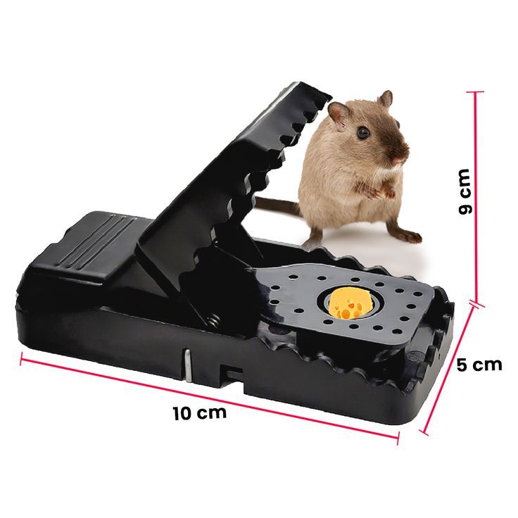 Heavy-Duty High-Efficiency Snap Mouse Trap Set