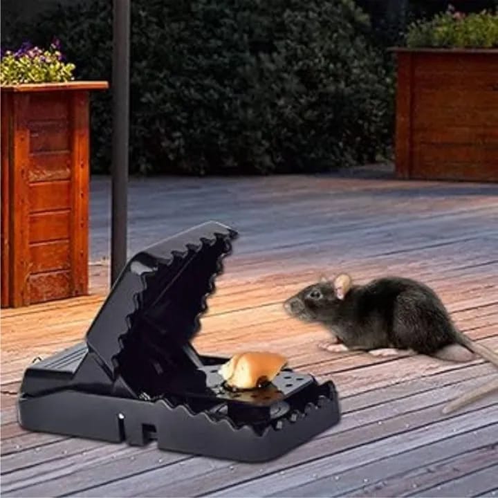 Heavy-Duty High-Efficiency Snap Mouse Trap Set