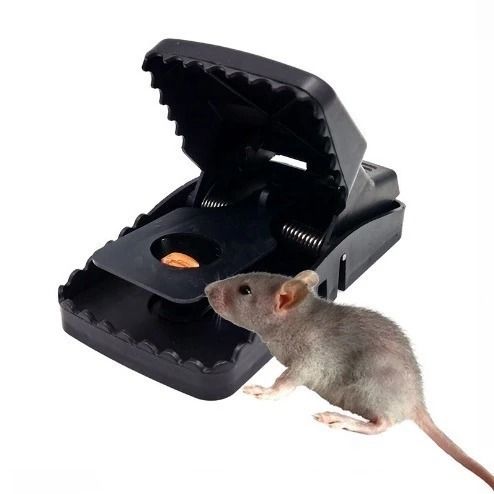 Heavy-Duty High-Efficiency Snap Mouse Trap Set